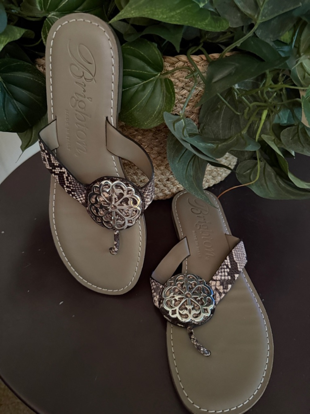 Brighton Taupe Snake-Print Thong Sandals with Silver Medallion Size 7 M